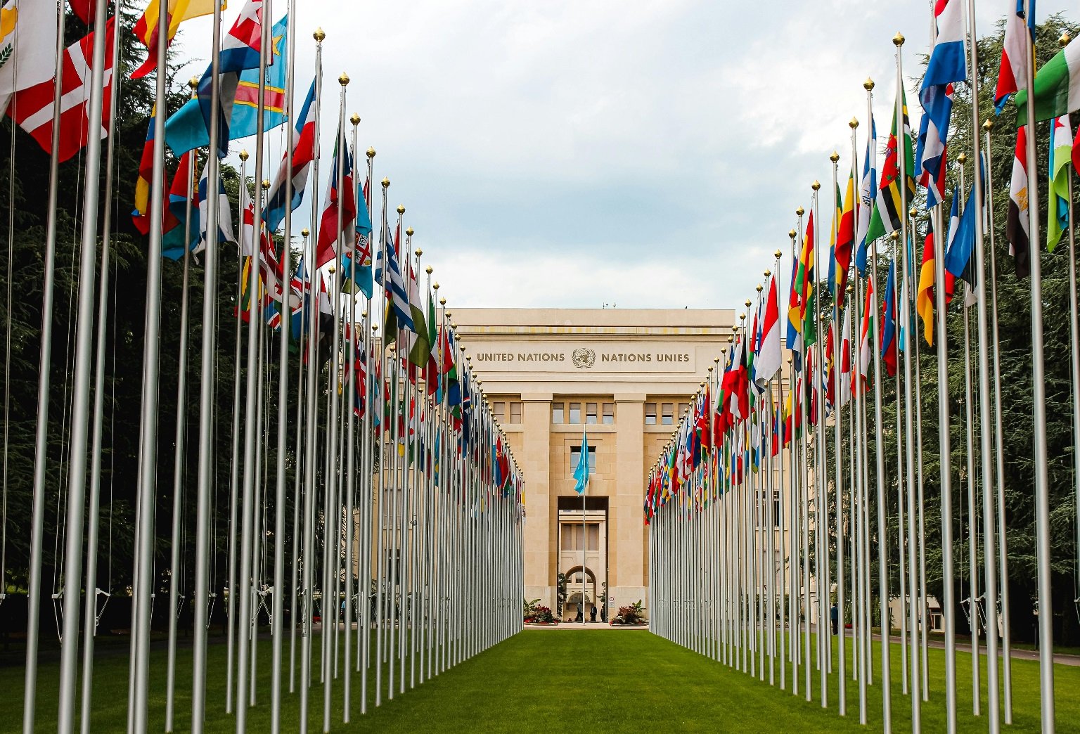 Exploring the Unique Blend of Adriatic Food, Geneva's Culinary Scene, and Education in Cameroon
